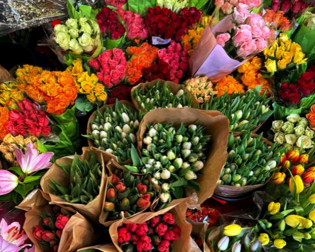 Fresh & Premium Flowers